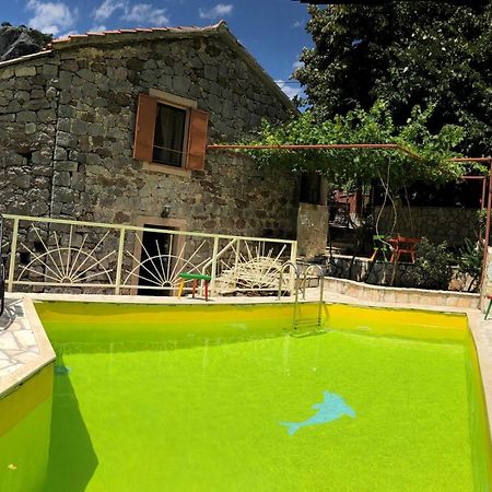 Etno House Ivanovic Virpazar Exteriér fotografie