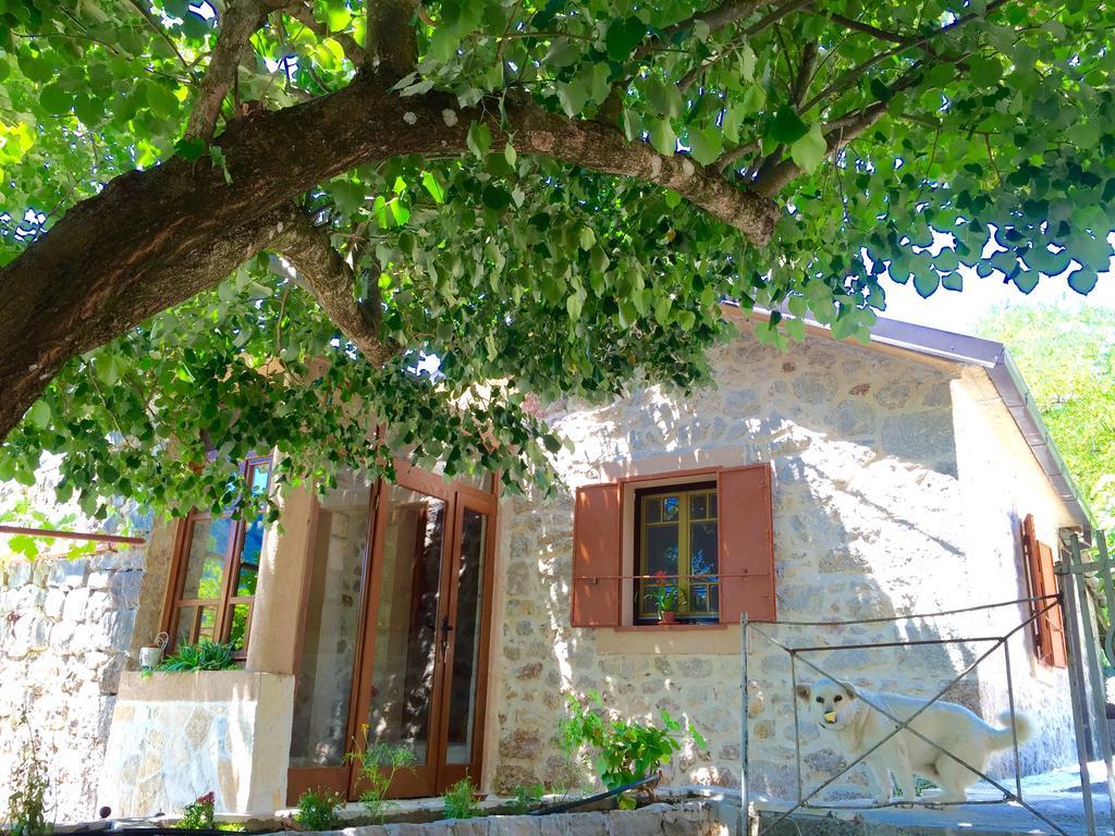 Etno House Ivanovic Virpazar Exteriér fotografie
